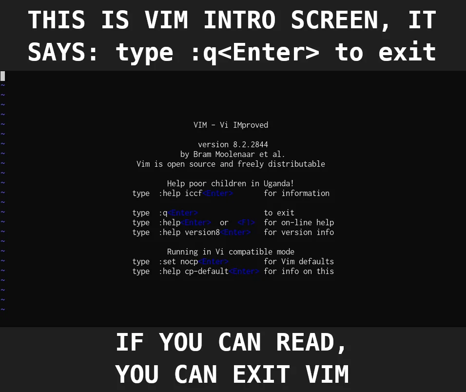 Vim screen with green text on black; image from a Reddit post, not owned by Snr. Enginerd